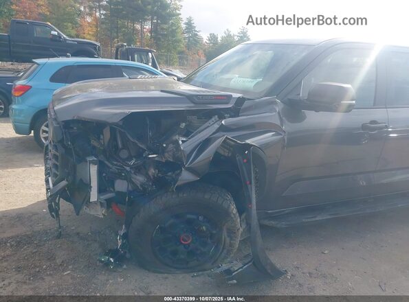 5TFPC5DB7SX103117 2025 TOYOTA TUNDRA HYBRID Серый 