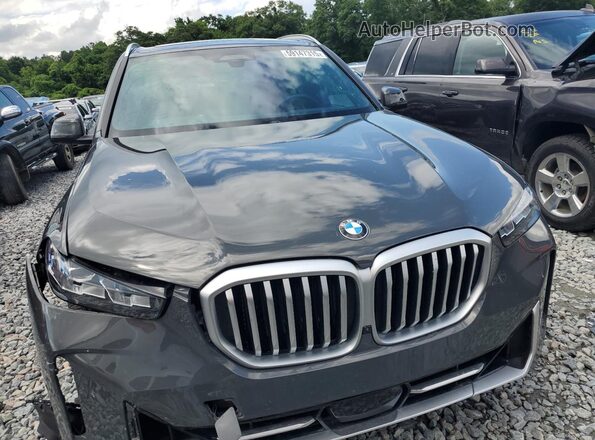 5UX13EU05S9W71454 2025 BMW X5 Gray 