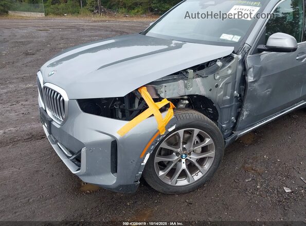 5UX23EU01R9W15896 2024 BMW X5 Gray Front view