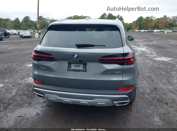5UX23EU01R9W15896 2024 BMW X5 Gray 