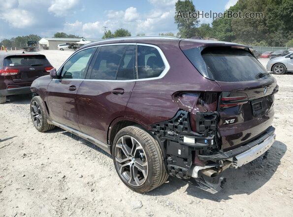 5UX23EU09S9X15833 2025 BMW X5 Purple 