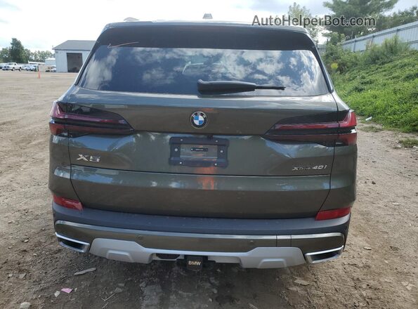 5UX23EU09S9Z76993 2025 BMW X5 Зеленый Вид сзади