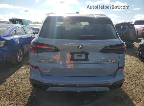 5UX33EU04S9Y36371 2025 BMW X5 Gray Vista trasera