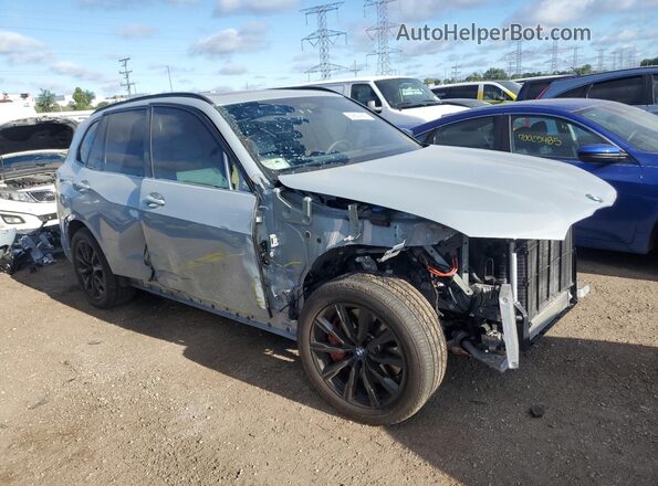 5UX33EU04S9Y36371 2025 BMW X5 Gray Delantero derecho