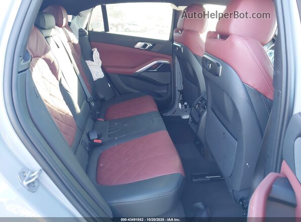 5UX33EX09S9Y17620 2025 BMW X6 Gray Widok naklejki z numerem VIN