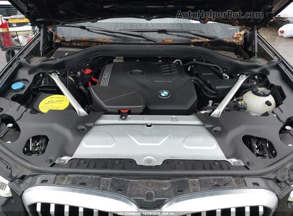 5UX53DP06N9M87362 2022 BMW X3 Черный Вид сзади
