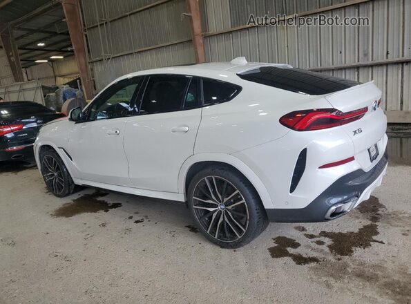 5UXCY6C02P9P97103 2023 BMW X6 White Trasero izquierdo