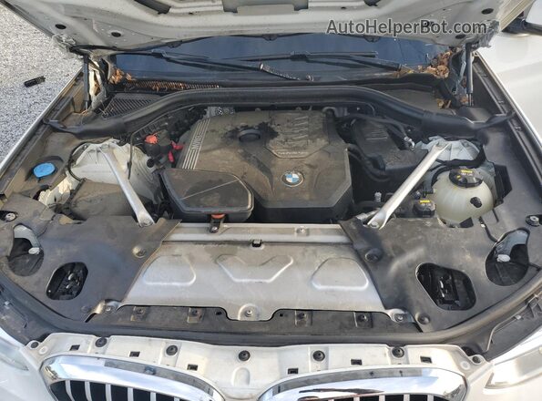 5UXTY3C05L9C78770 2020 BMW X3 Белый Вид задней части салона