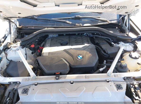 5UXTY5C05M9E25263 2021 BMW X3 White უკანა ხედი