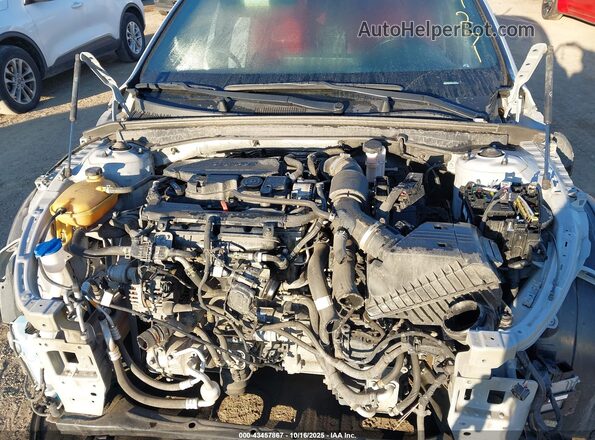 5XXG64J22NG117251 2022 KIA K5 Gray უკანა ხედი