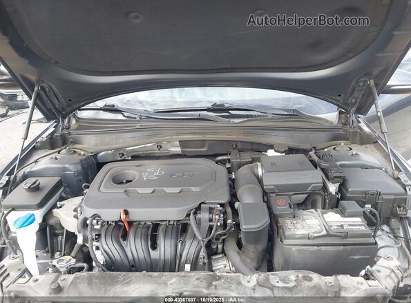 5XXGT4L34LG424142 2020 KIA OPTIMA Gray Rear view