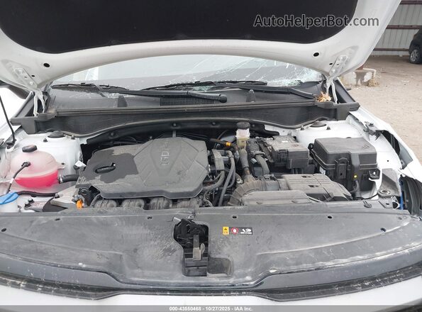 5XYK6CDF7RG195237 2024 KIA SPORTAGE Белый Вид сзади
