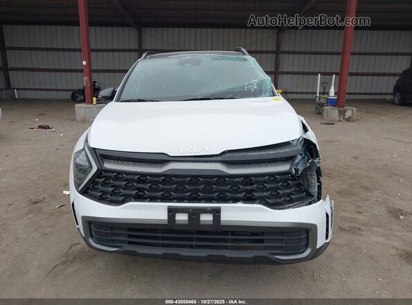 5XYK6CDF7RG195237 2024 KIA SPORTAGE Белый Вид задней части салона