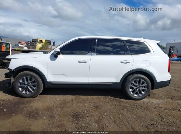 5XYP24GC6RG442787 2024 KIA TELLURIDE Белый 