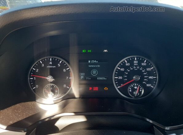 5XYP24HC0LG016177 2020 KIA TELLURIDE Белый Вид щитка приборов