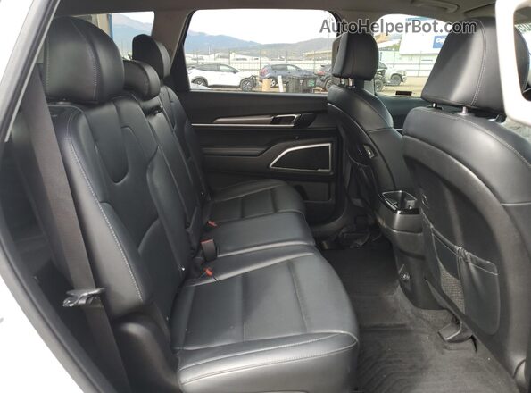 5XYP24HC0LG016177 2020 KIA TELLURIDE Белый Вид задней части салона