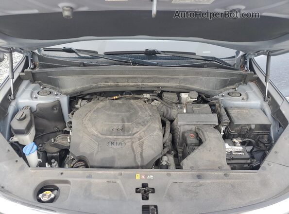 5XYP2DHC3LG008316 2020 KIA TELLURIDE Серый Вид задней части салона
