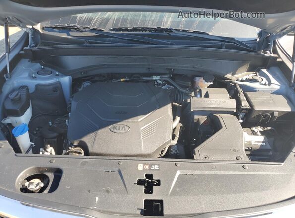 5XYP2DHC6LG010027 2020 KIA TELLURIDE Синий Вид задней части салона