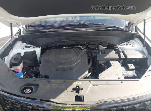 5XYP3DGC0RG560332 2024 KIA TELLURIDE White Հետևի տեսք