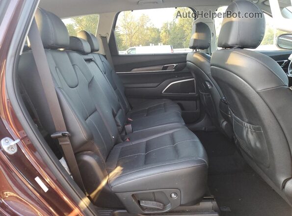 5XYP3DHC7LG001964 2020 KIA TELLURIDE Burgundy Вид задньої частини салону