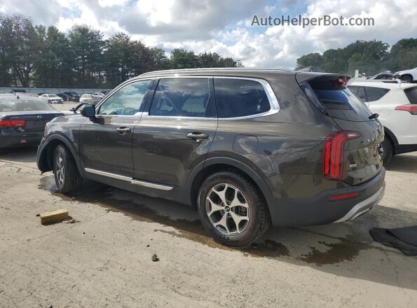 5XYP3DHCXLG058322 2020 KIA TELLURIDE Brown Rear left