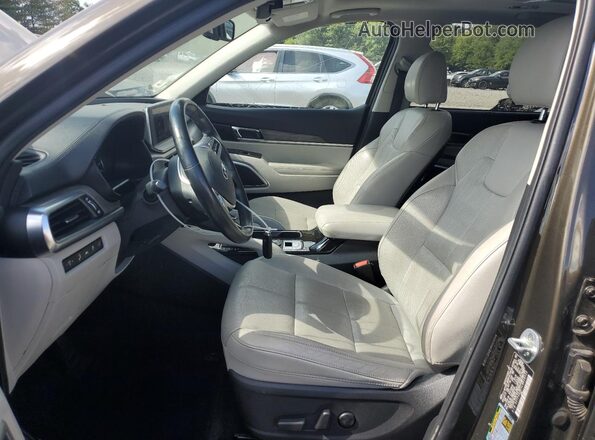 5XYP3DHCXLG058322 2020 KIA TELLURIDE Brown Front interior view