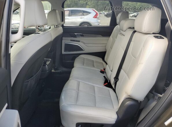 5XYP3DHCXLG058322 2020 KIA TELLURIDE Brown Rear seats view