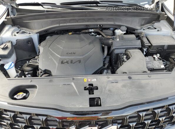 5XYP5DGC1RG436287 2024 KIA TELLURIDE Gray 