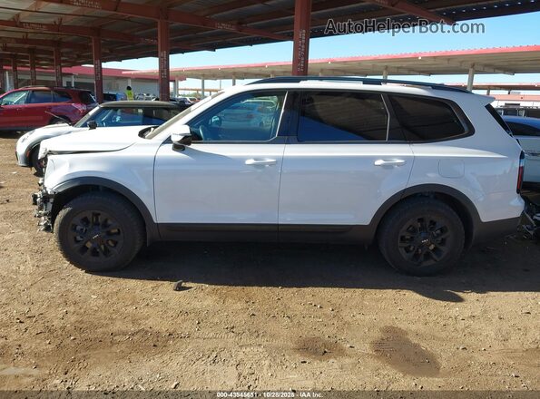5XYP5DGC5RG471723 2024 KIA TELLURIDE White 
