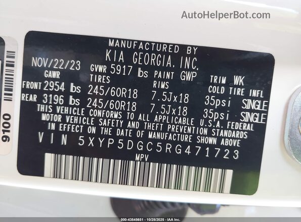 5XYP5DGC5RG471723 2024 KIA TELLURIDE White Vista del compartimento del motor