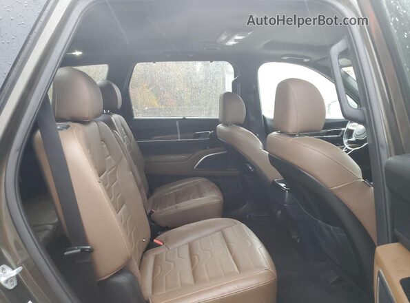 5XYP5DHC3LG062755 2020 KIA TELLURIDE Зеленый Вид задней части салона