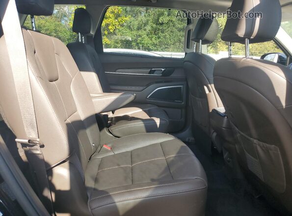 5XYP5DHC6LG024601 2020 KIA TELLURIDE Black Rear interior view