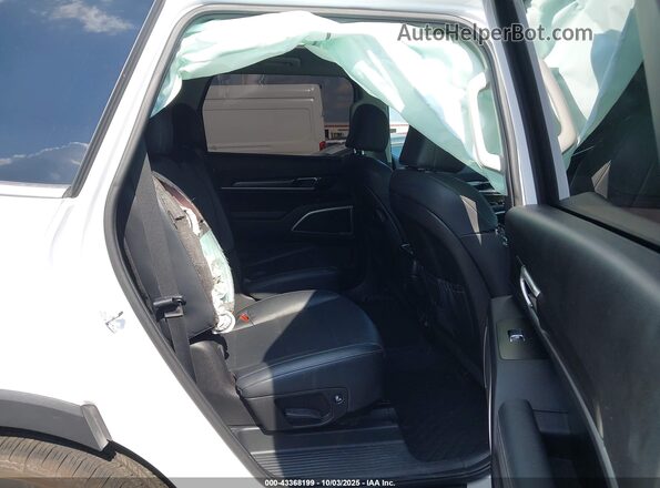 5XYP64GC2PG362386 2023 KIA TELLURIDE Белый Вид наклейки с VIN-кодом