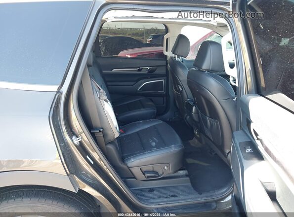 5XYP64GC4SG634347 2025 KIA TELLURIDE Green 