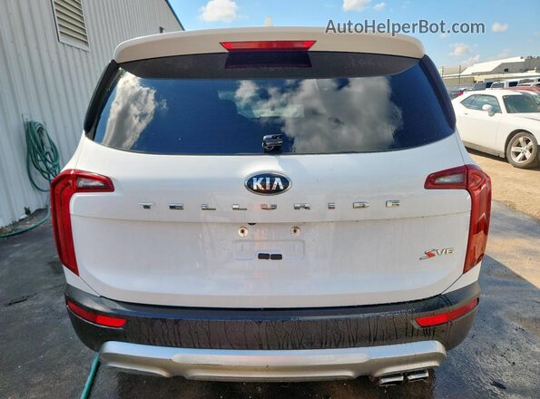 5XYP64HC0LG005880 2020 KIA TELLURIDE White Հետևի տեսք