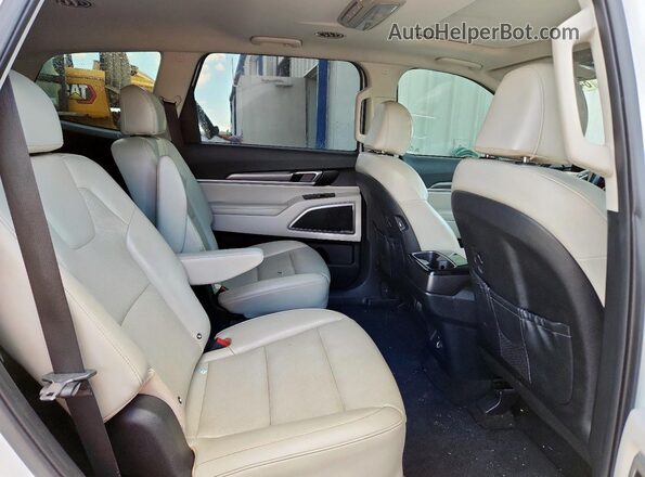 5XYP64HC0LG005880 2020 KIA TELLURIDE White Սալոնի հետևի տեսք