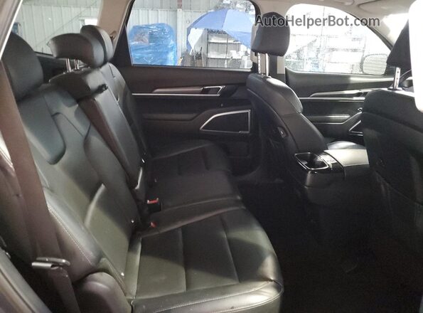 5XYP64HC1LG011798 2020 KIA TELLURIDE Gray Vista interior trasera