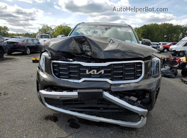 5XYP6DGC5SG602569 2025 KIA TELLURIDE Green 