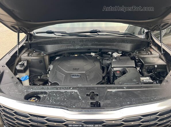 5XYP6DHC0LG003708 2020 KIA TELLURIDE Зеленый Вид сзади