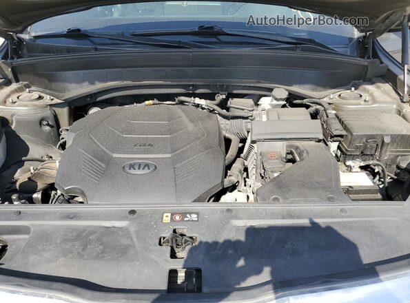 5XYP6DHC6LG062133 2020 KIA TELLURIDE Серый Вид задней части салона