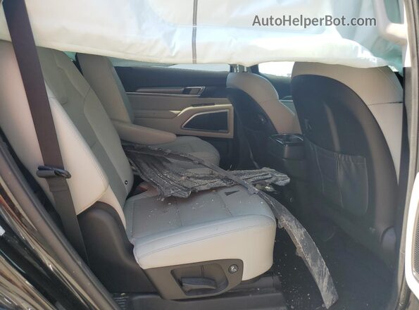 5XYP6DHC8LG025925 2020 KIA TELLURIDE Черный Вид задней части салона
