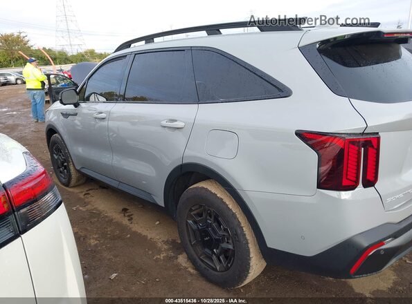 5XYRKDJF1RG305574 2024 KIA SORENTO Серый Панорамный вид салона 360°