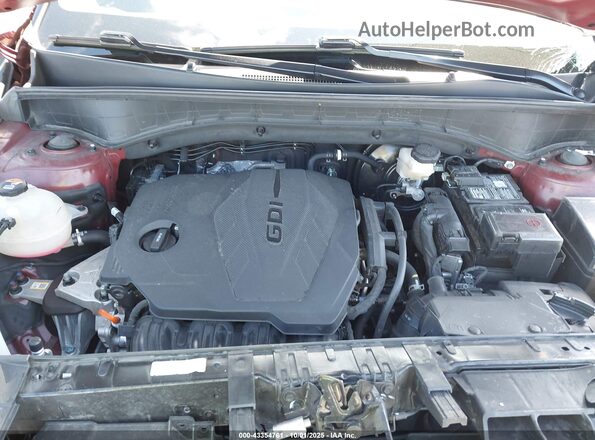 5XYRL4JC1RG262454 2024 KIA SORENTO Red 