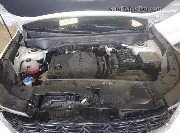 5XYRL4JC6RG274955 2024 KIA SORENTO Белый 