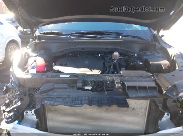 5XYRL4JC9RG273525 2024 KIA SORENTO Gray Հետևի տեսք