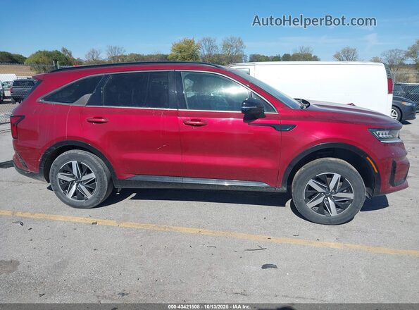 5XYRL4LC9MG008254 2021 KIA SORENTO Red Rear interior view