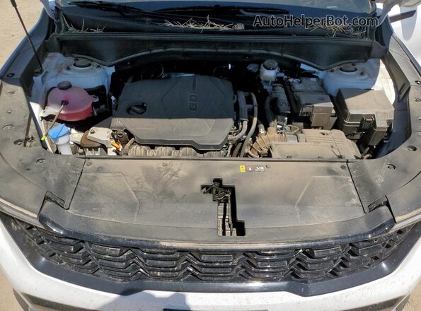 5XYRLDJC0RG293498 2024 KIA SORENTO Белый 
