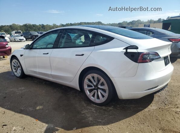 5YJ3E1EA0NF369939 2022 TESLA MODEL White 