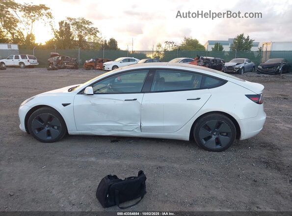 5YJ3E1EA3PF411202 2023 TESLA MODEL 3 White 