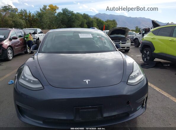 5YJ3E1EB0LF787438 2020 TESLA MODEL 3 Серый Вид щитка приборов